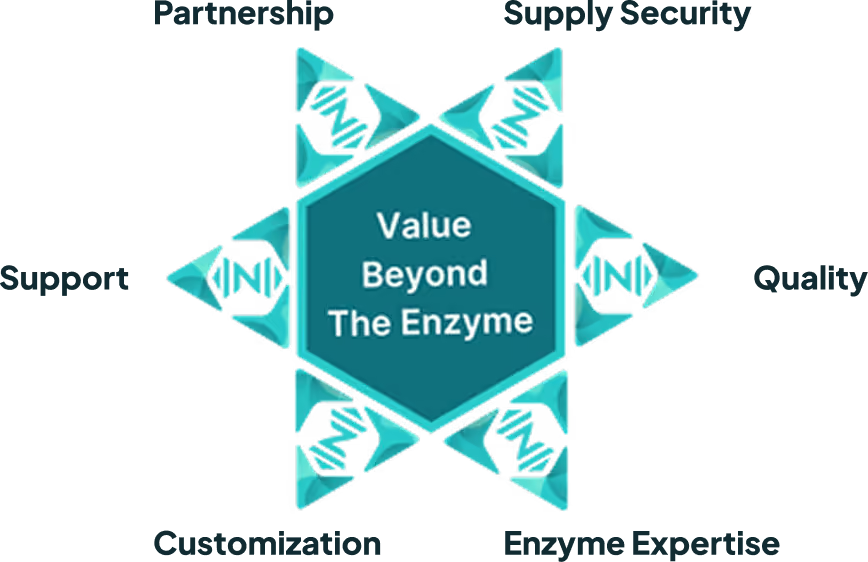 ArcticZymes values: Partnership, Supply security, Quality, Support, Customization and Enzyme Expertise