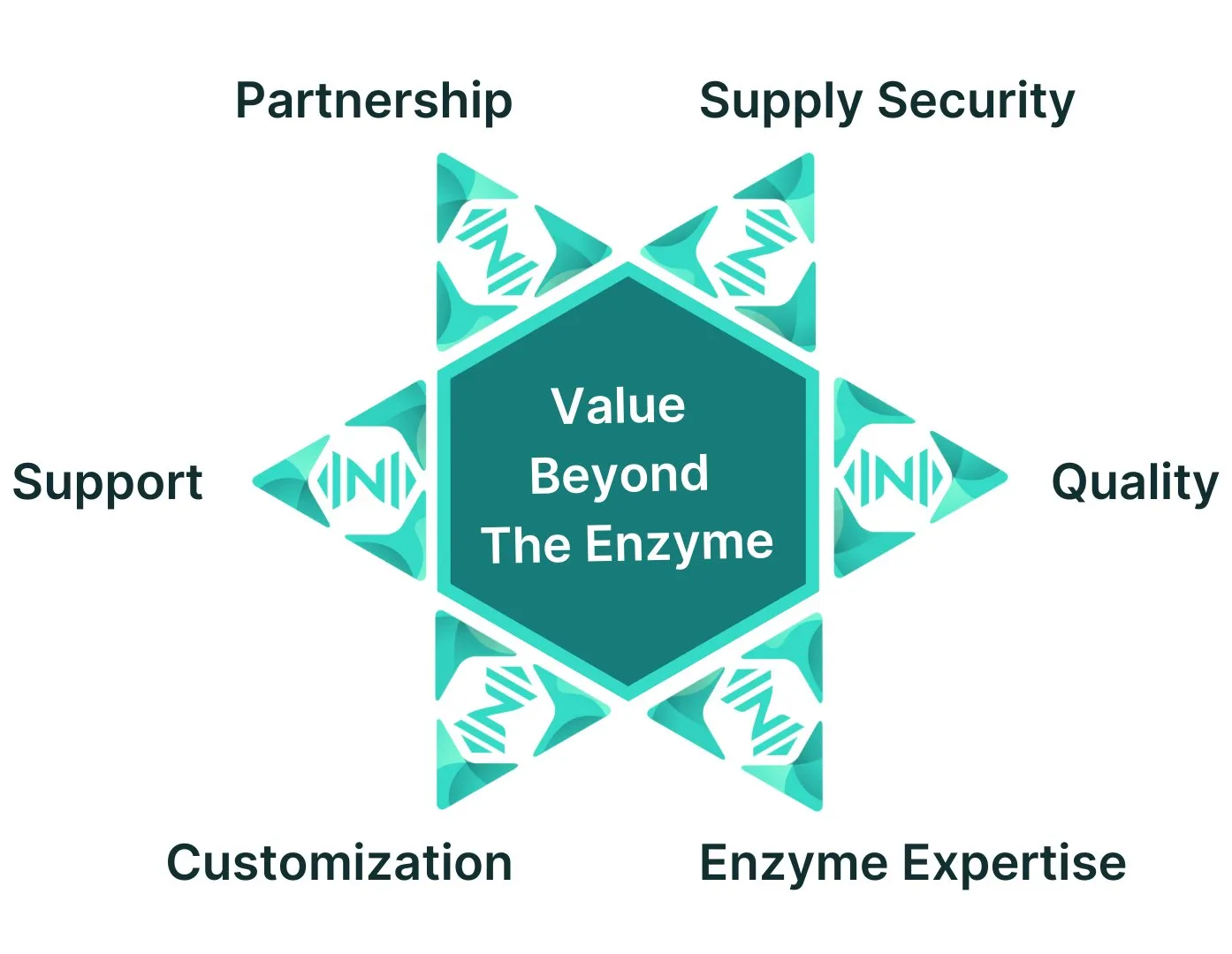 value beyond the enzyme