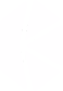 Crypto Logo