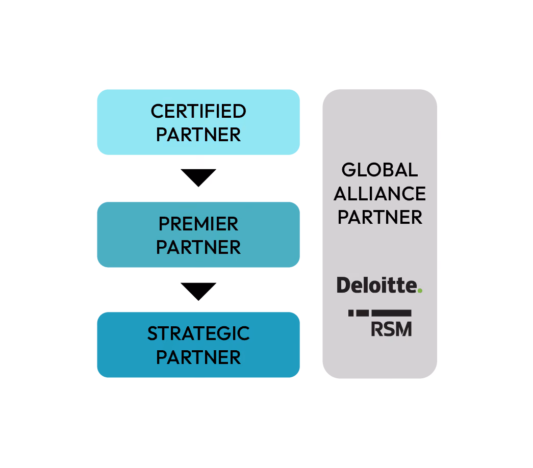 Partner tier diagram showing certified partner, premier partner, and strategic partner levels connected to global alliance partner.