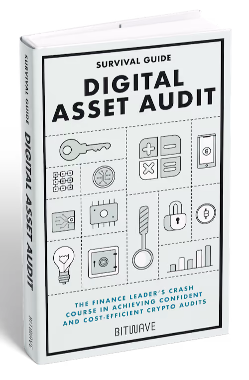 Book cover mockup titled Digital Asset Audit Survival.