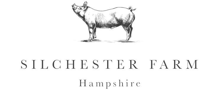 silchester logo
