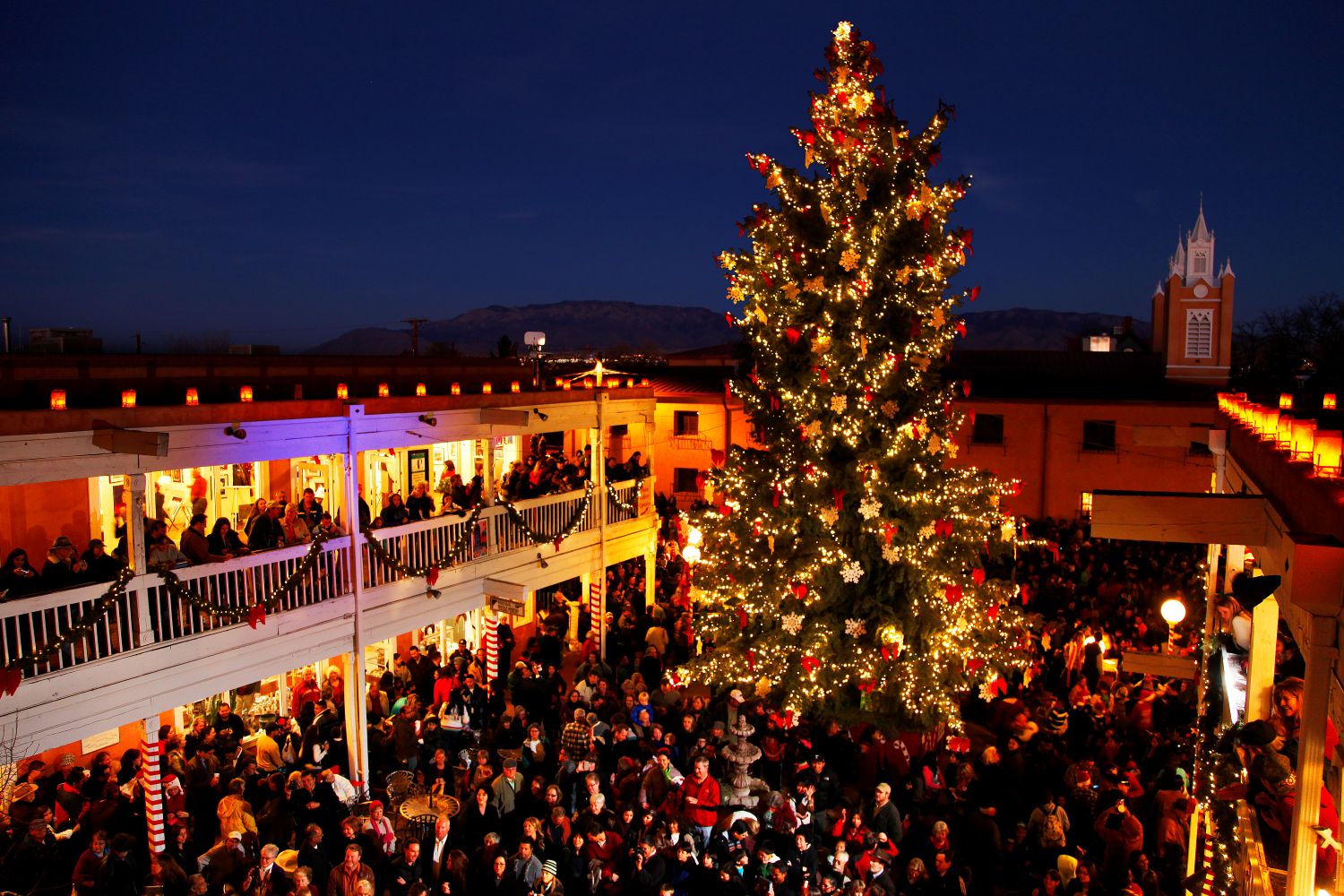 Tree lighting in Old Town with large lit tree and people surrounding it