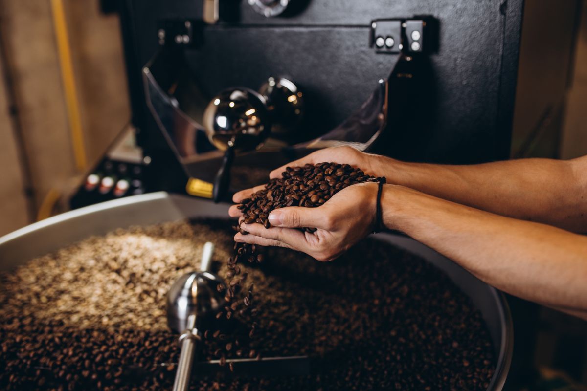 Man's hands holding coffee beans next to a roasting machine