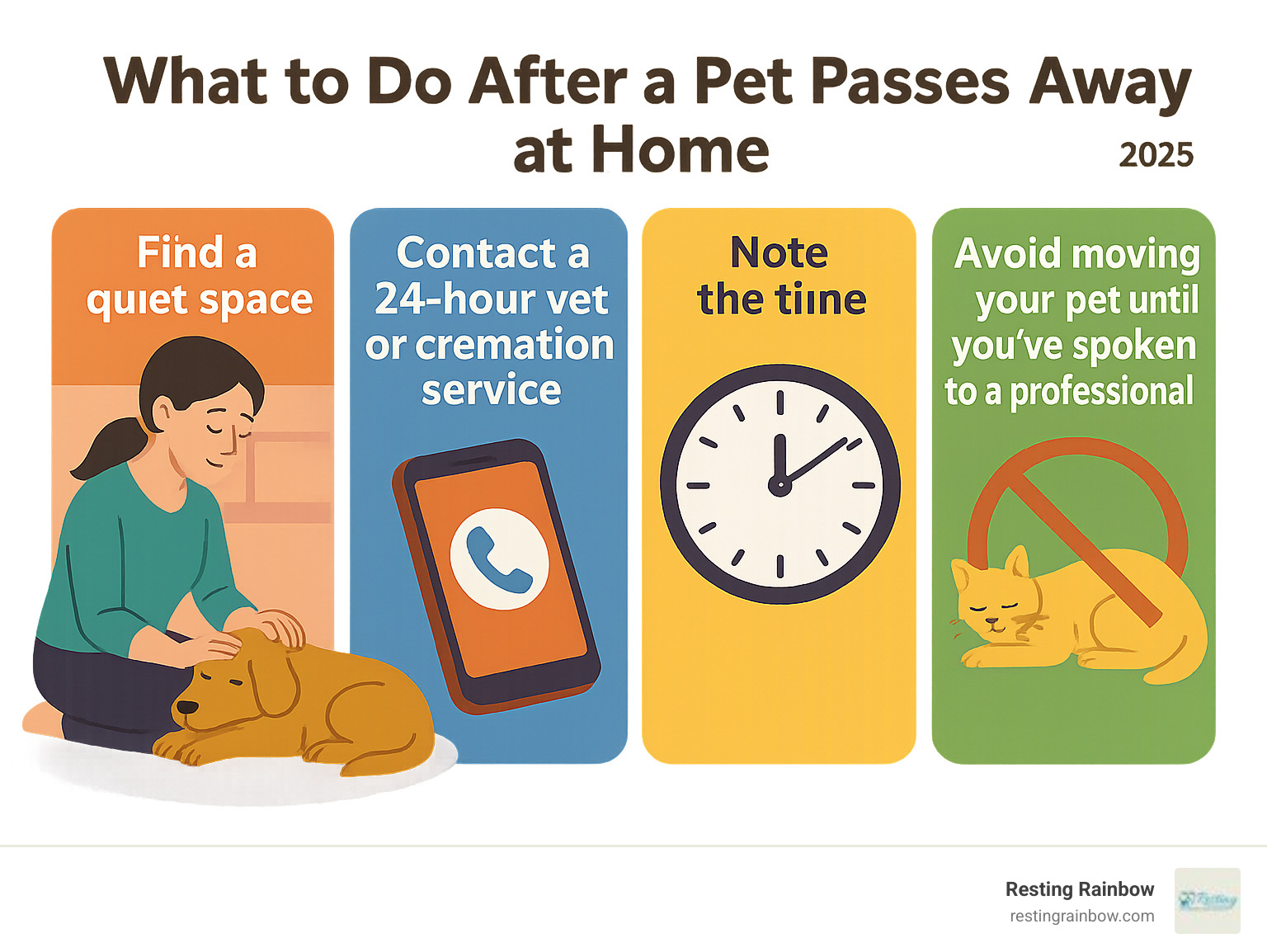 Infographic outlining the immediate steps to take after a pet passes away at home. Steps include: 1. Find a quiet space. 2. Contact a 24-hour vet or cremation service. 3. Note the time. 4. Avoid moving your pet until you've spoken to a professional. - 24 hour pet cremation Dallas infographic 