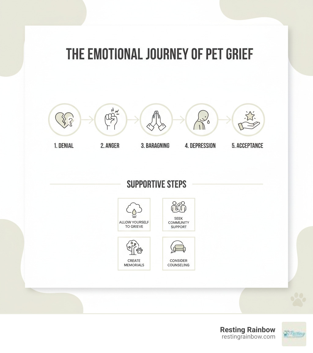Infographic showing the emotional stages of pet grief: denial, anger, bargaining, depression, and acceptance, with supportive tips like allowing yourself to grieve, seeking community support, creating meaningful memorials, and considering professional counseling when needed - memorial service for pets infographic 