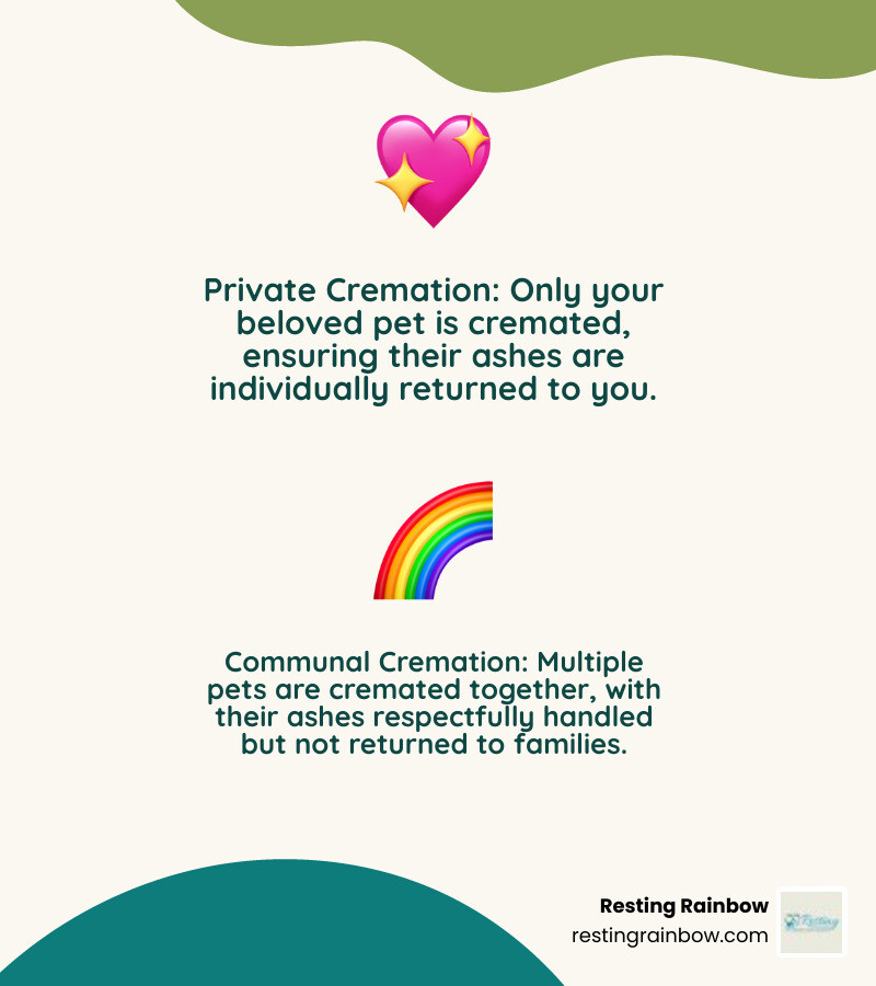 Infographic showing pet cremation options in Dallas: Private cremation (individual pet, ashes returned, higher cost), Communal cremation (multiple pets, ashes not returned, lower cost), with typical costs by pet size and turnaround times of 24-48 hours - pet cremation dallas texas infographic 2_facts_emoji_nature Infographic showing pet cremation options in Dallas: Private cremation (individual pet, ashes returned, higher cost), Communal cremation (multiple pets, ashes not returned, lower cost), with typical costs by pet size and turnaround times of 24-48 hours - pet cremation dallas texas infographic 2_facts_emoji_nature