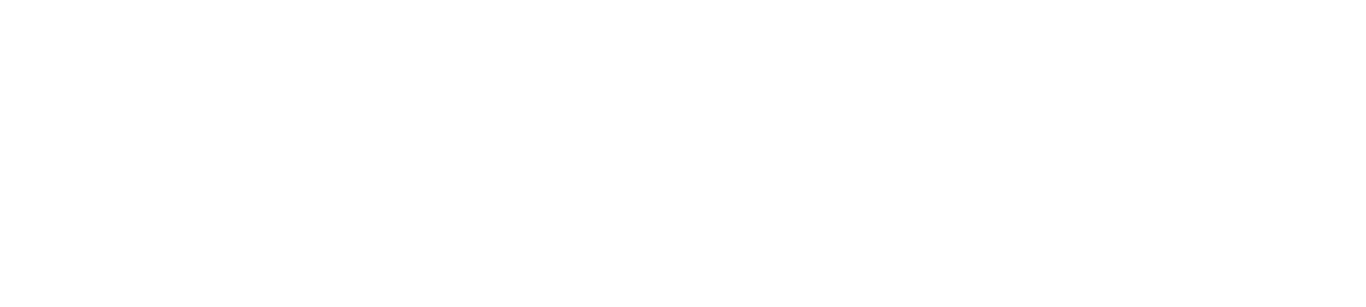 EchoTwin AI
