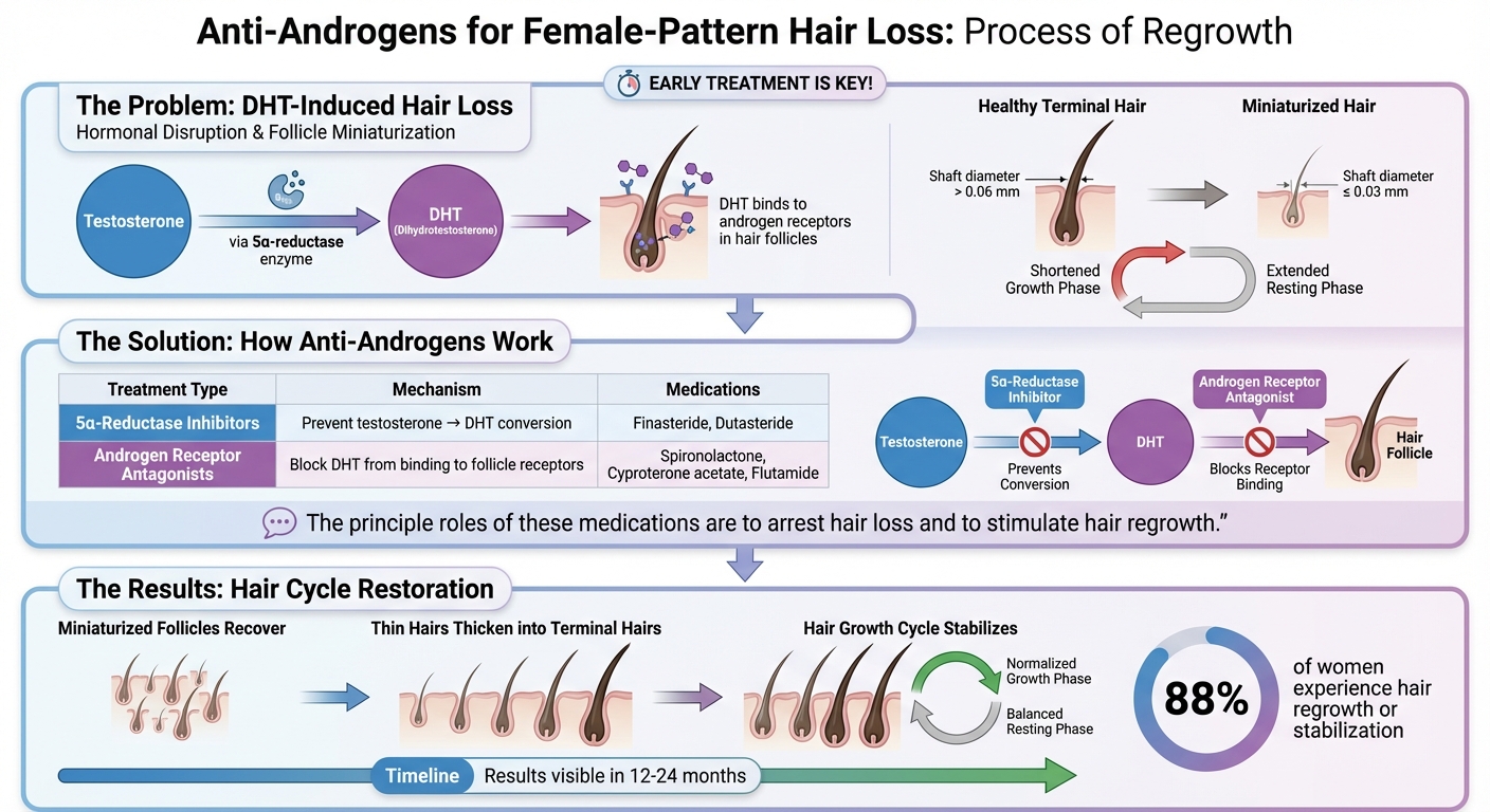 How Anti-Androgens Block DHT and Restore Hair Growth Cycle