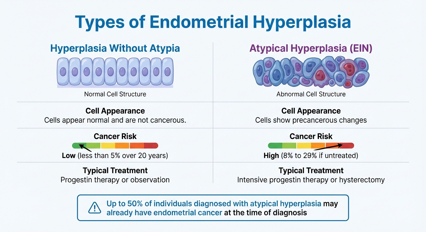 Types of Endometrial Hyperplasia: Risk Levels and Treatment Options
