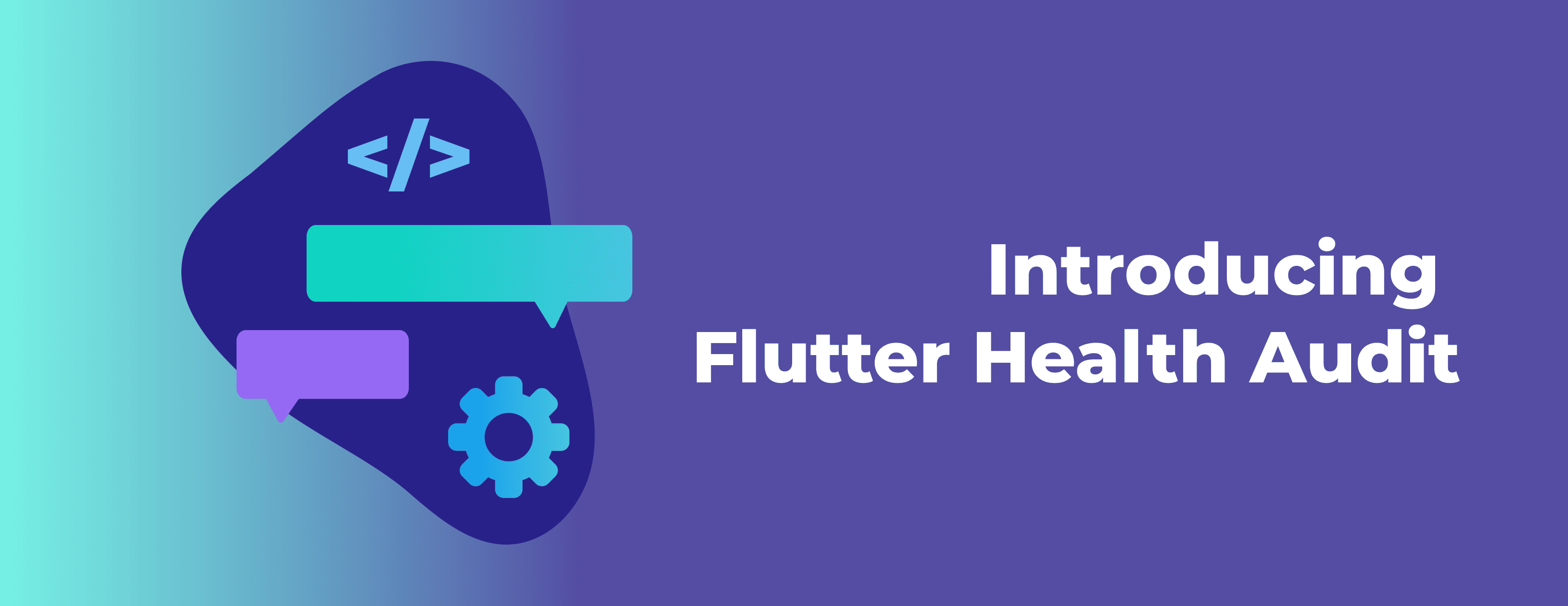 Introducing Flutter Health Audit