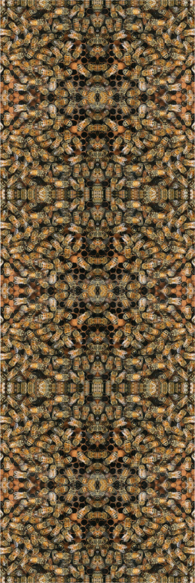 Archival pigment print by Ryan Hackett titled factual fictions, detail view.