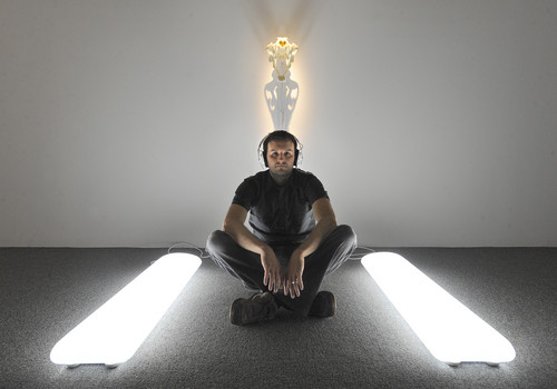 An immersive sculpture by artist Ryan Hackett titled Synthetic Tiger Skull with Artificial Sunlight Pads and Sound, installation view.