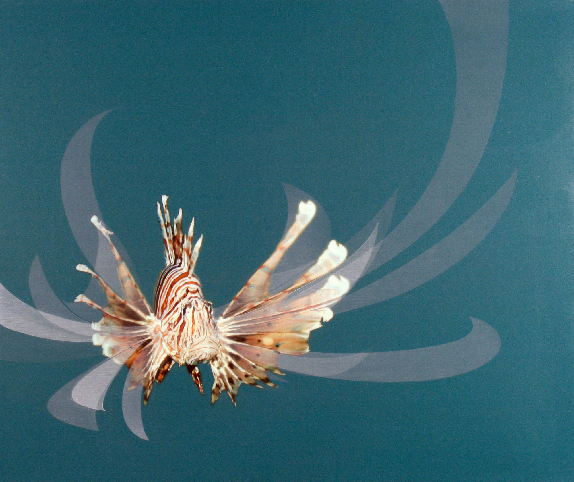 Painting by Ryan Hackett titled Lionfishgrowth 1. Click on this image to preview related paintings in this body of work.