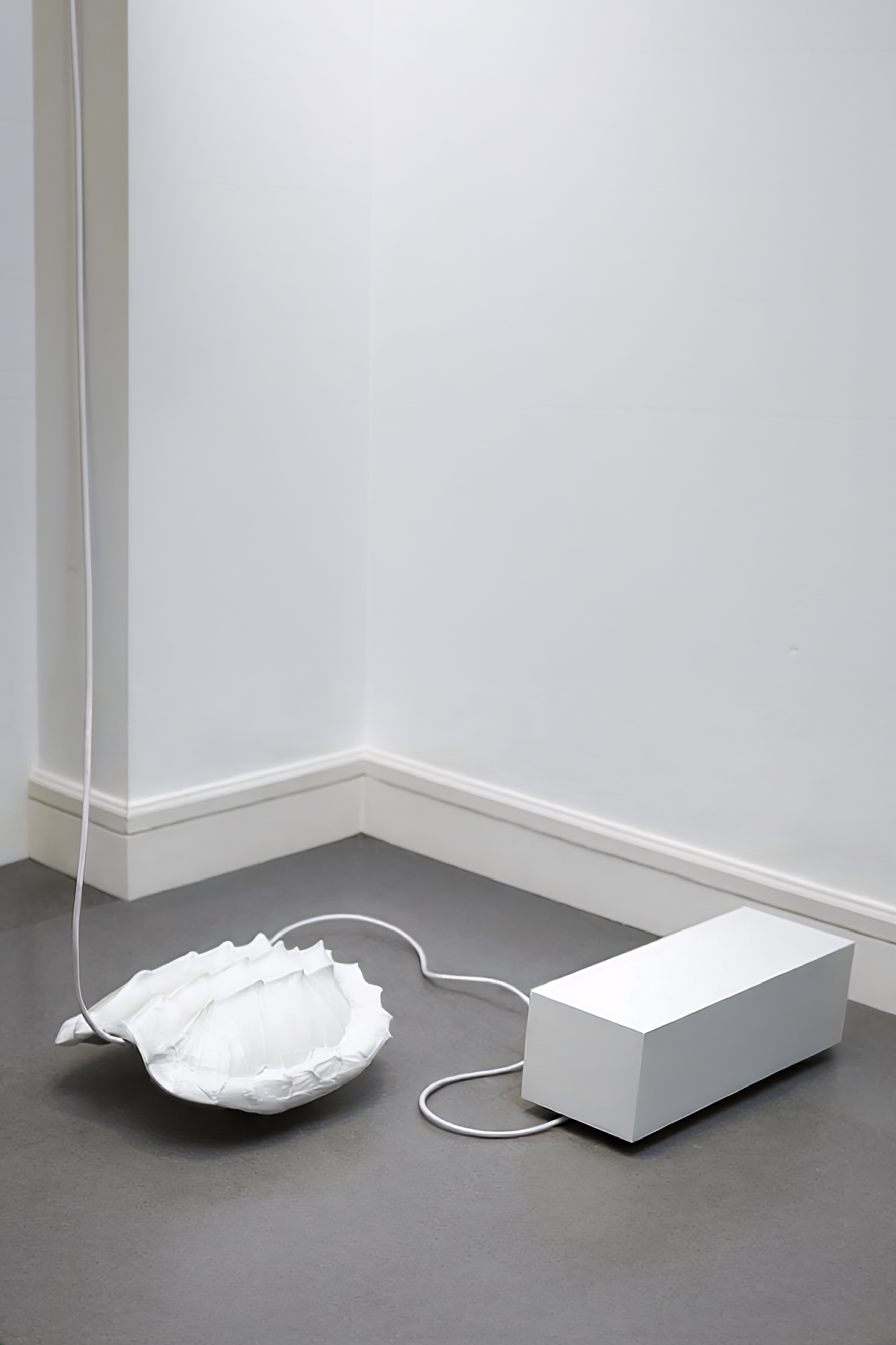 An immersive sculpture by artist Ryan Hackett titled Synthetic Snapping Turtle Shell with Aquatic Speaker Box. Click on this image to learn more about the work, view other angles, and listen to its sound.