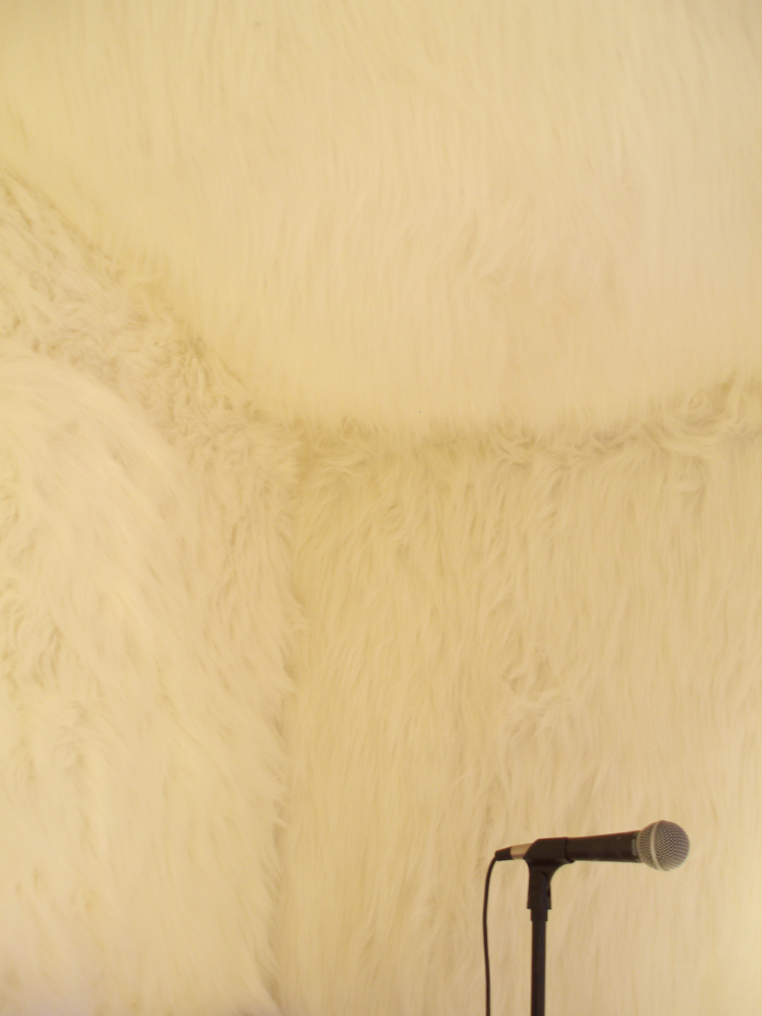 An immersive installation and performance by artist Ryan Hackett titled Hibernation@81BPM, additional view.