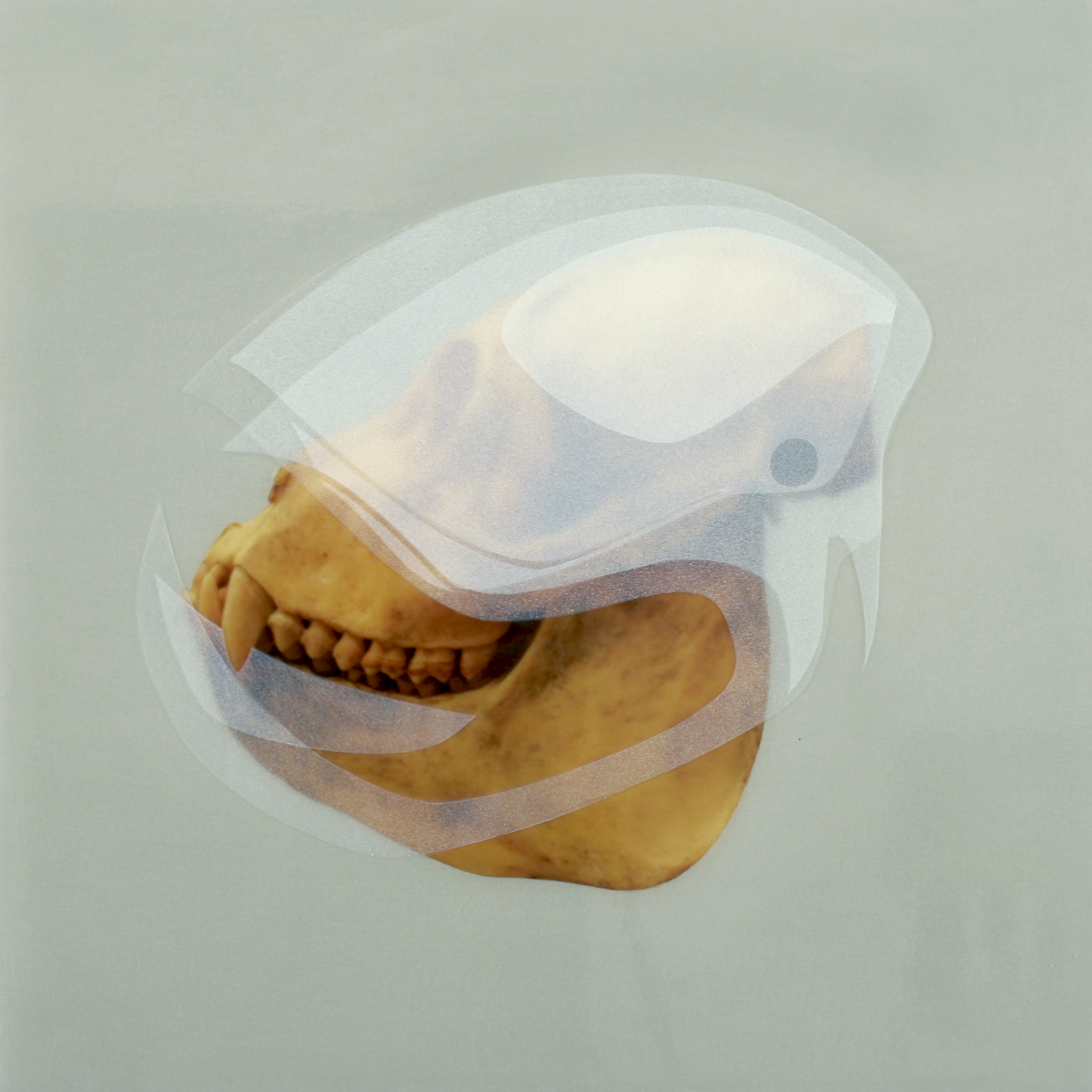 Painting by Ryan Hackett titled Howlergrowth. Click on this image to preview related paintings in this body of work.
