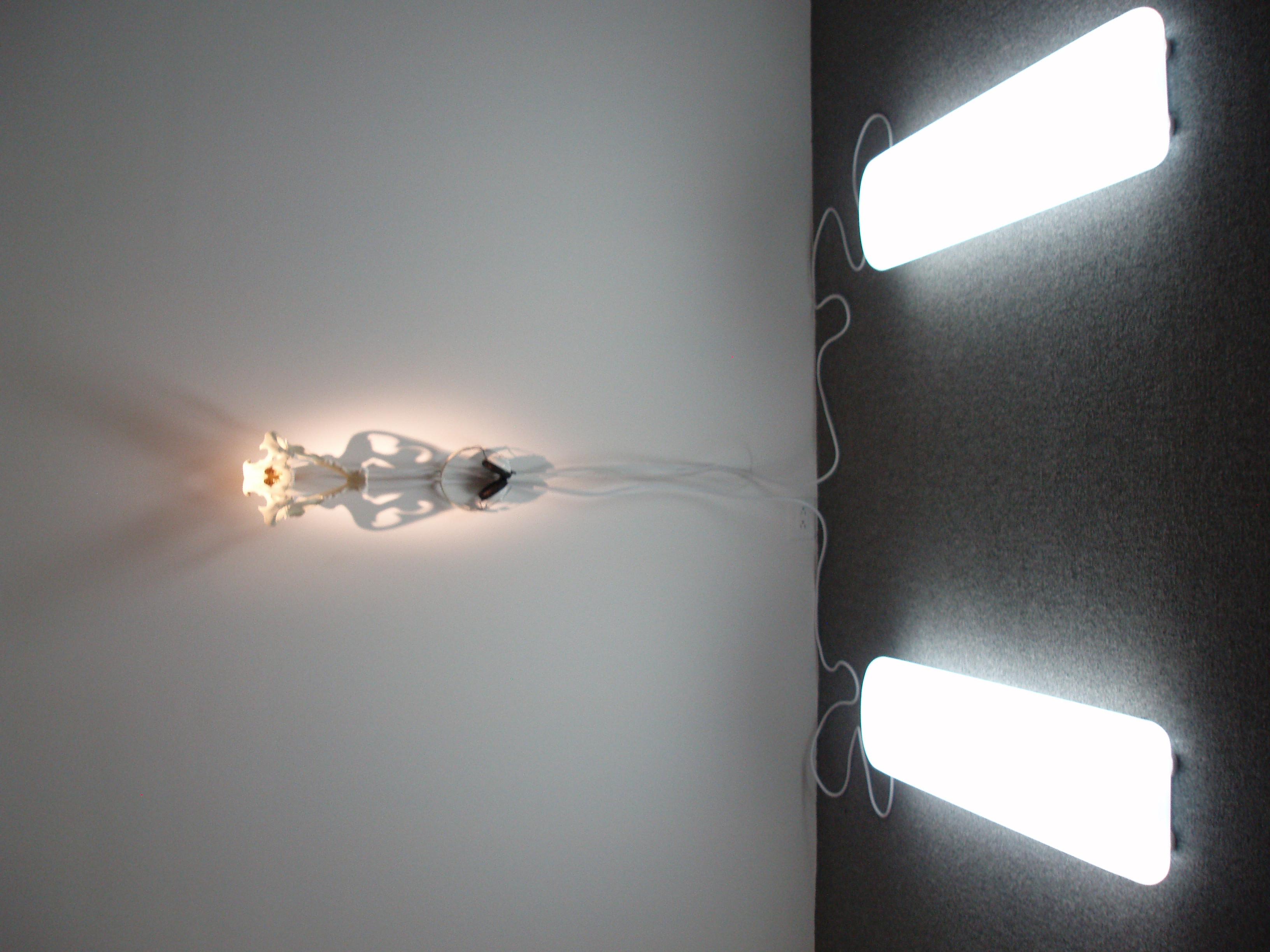 An immersive sculpture by artist Ryan Hackett titled Synthetic Tiger Skull with Artificial Sunlight Pads and Sound, shown from another angle.