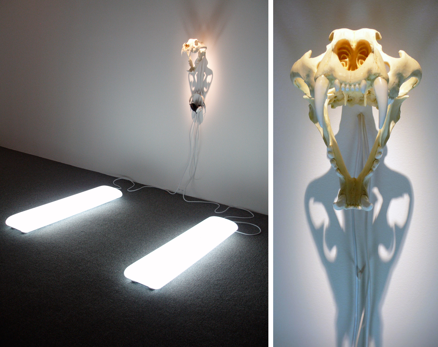 An immersive sculpture by artist Ryan Hackett titled Synthetic Tiger Skull with Artificial Sunlight Pads and Sound, detail view.