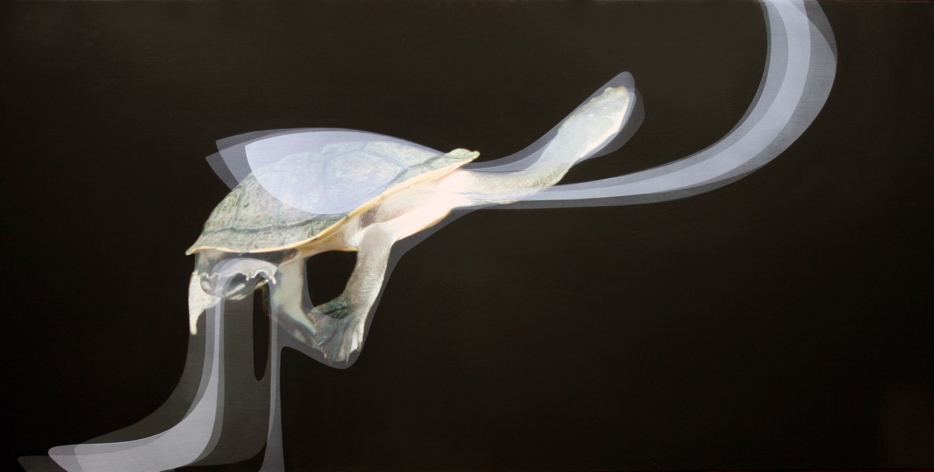 Turtlegrowth, a painting by Ryan Hackett