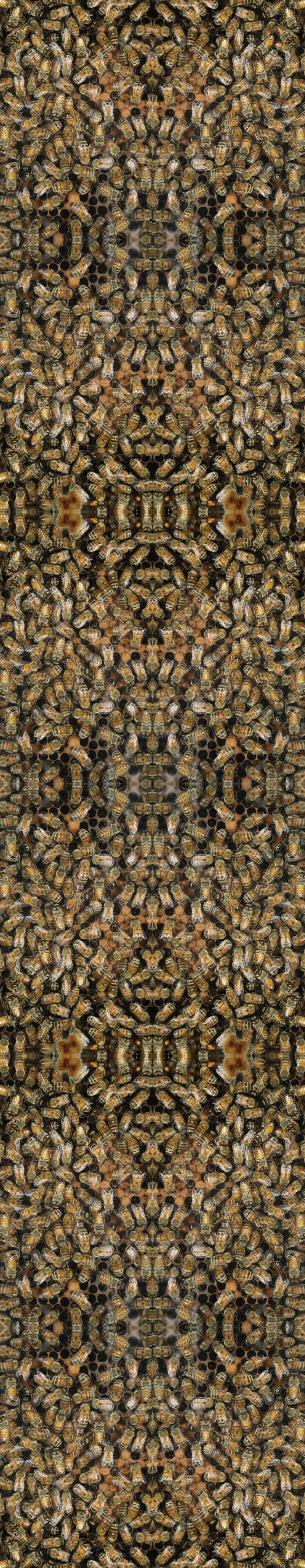 Archival pigment print by Ryan Hackett titled factual fictions, full view of the tall, narrow print.