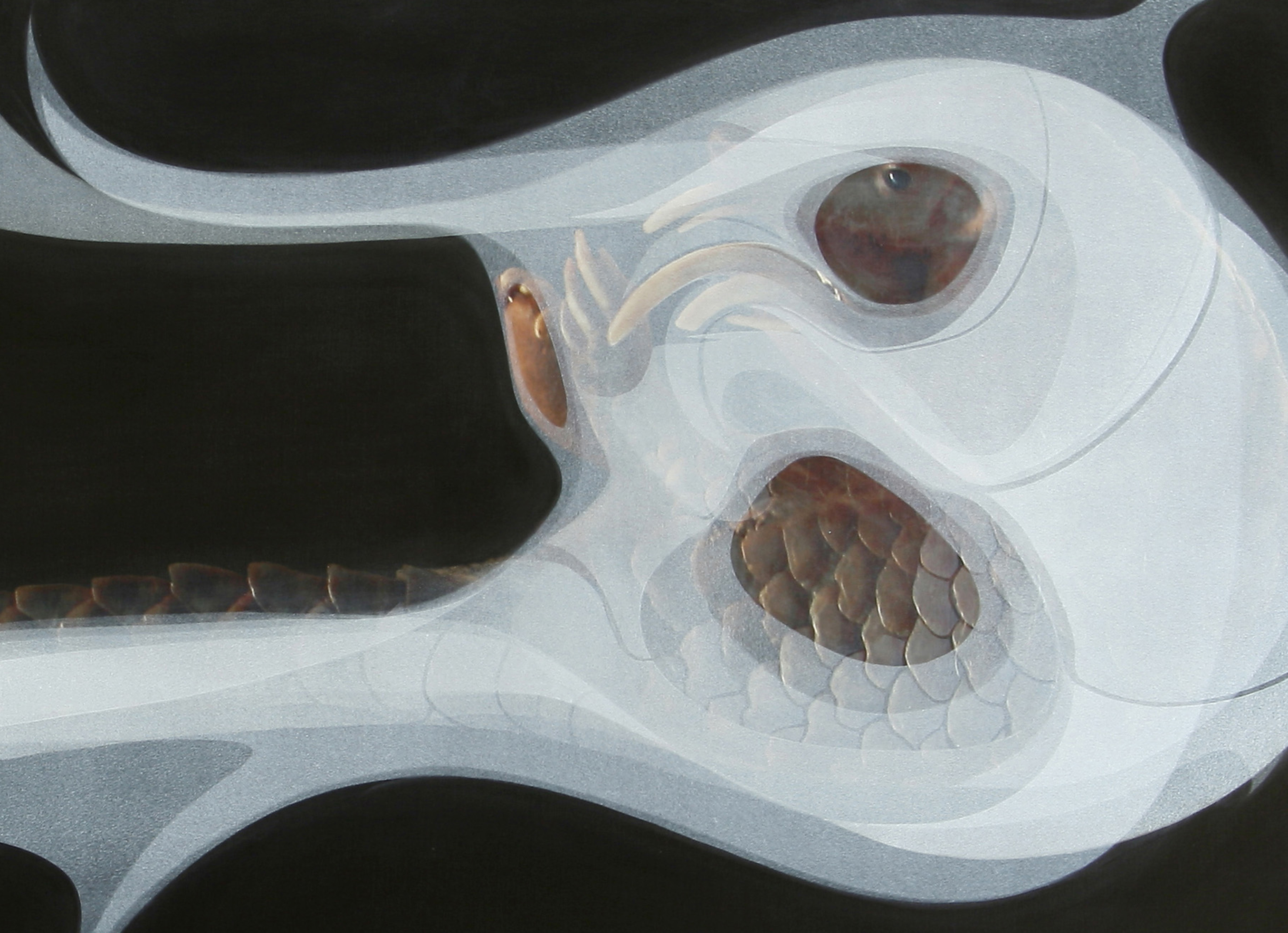 Detail of the painting Pangolingrowth by Ryan Hackett. Click on this image to view the full work larger.