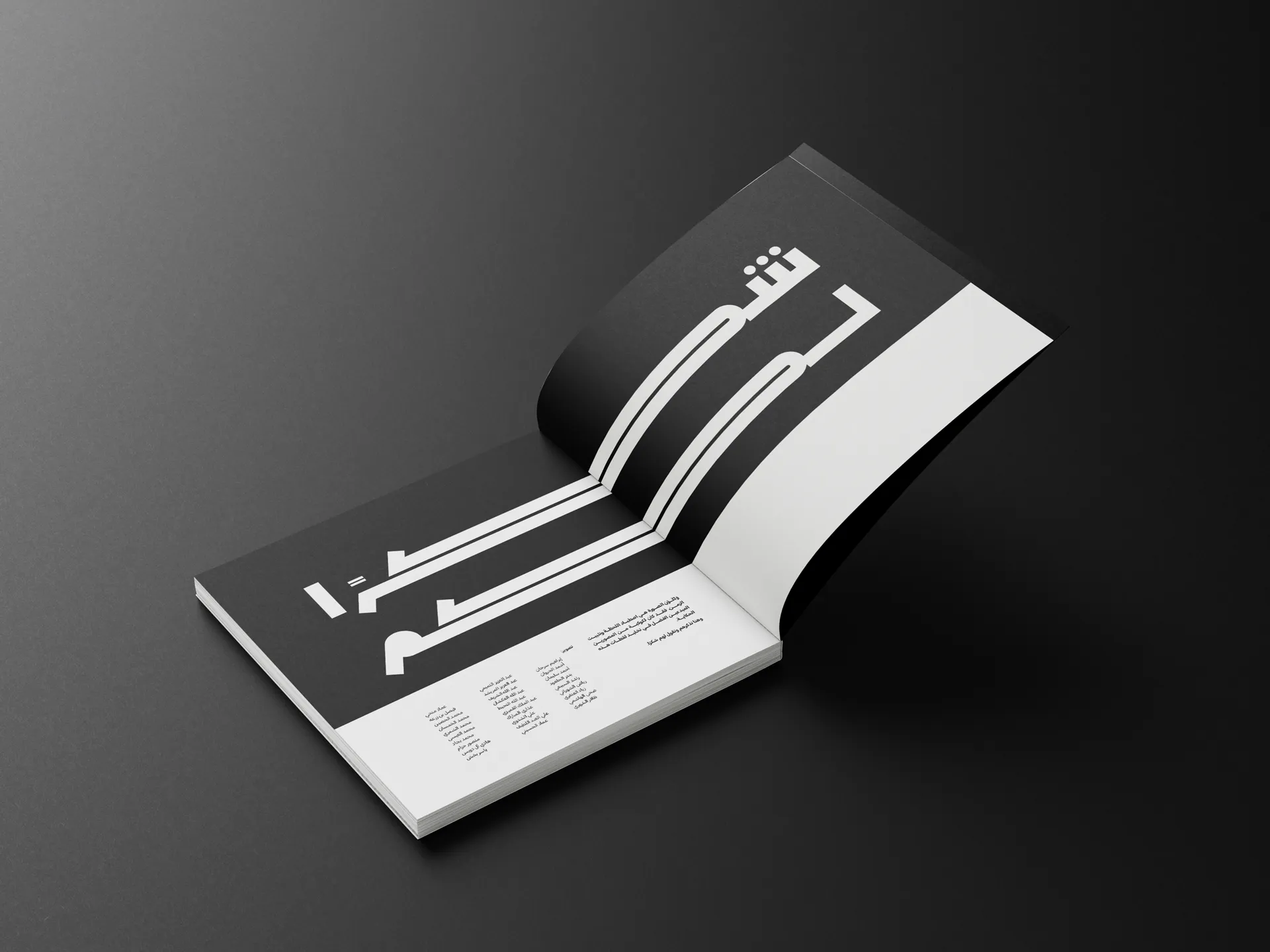 تصميم كتاب المواجهة الصامتة، صورة 4