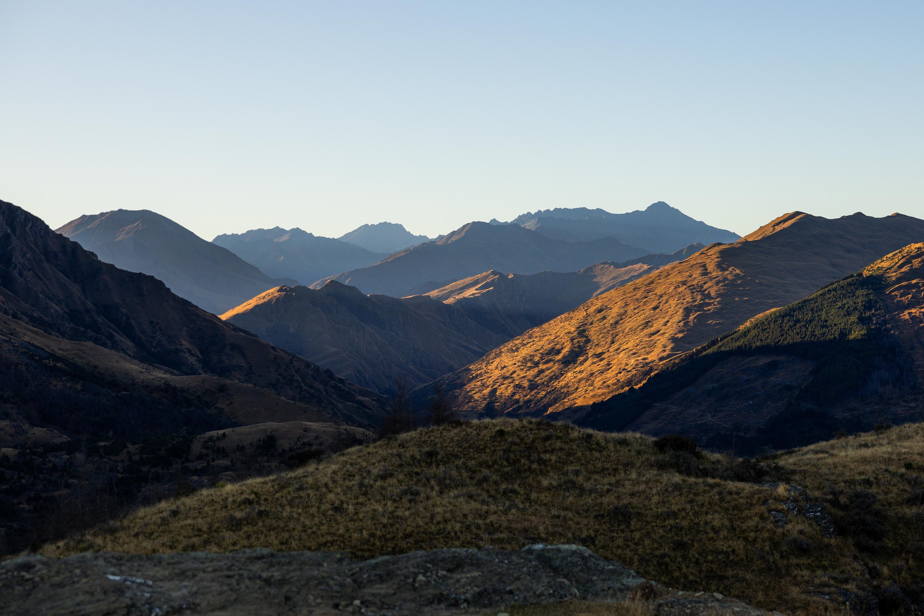 Love Queenstown Industry Planting day