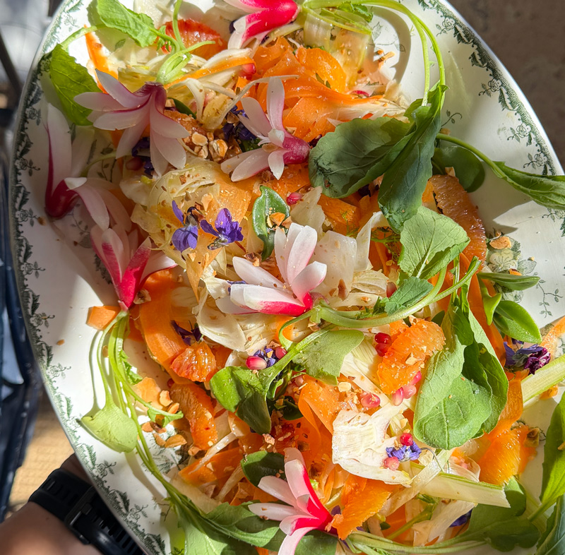 Assiette végétale colorée aux agrumes, légumes, herbes fraîches et fleurs pour un mariage