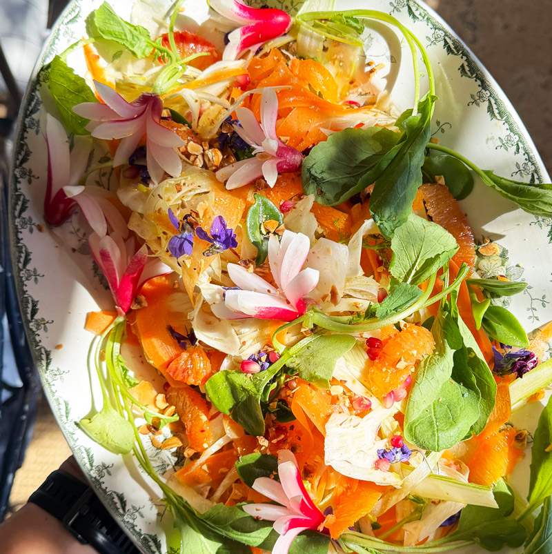 Salade fraîche et colorée aux agrumes, légumes, herbes et fleurs comestibles pour un brunch de saison