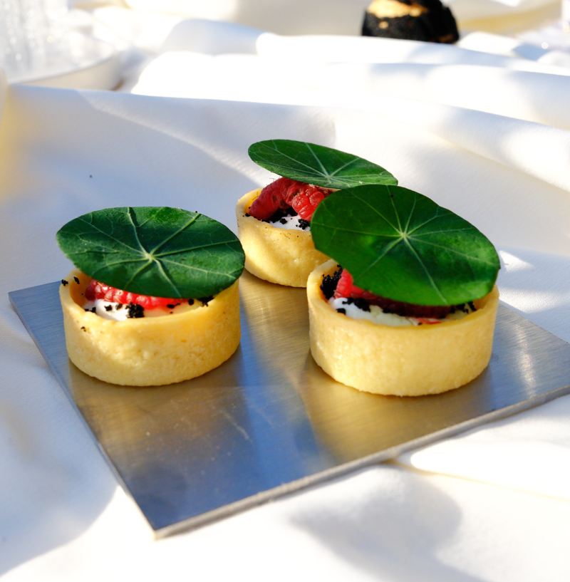 Tartelettes salées raffinées aux légumes et feuilles fraîches pour un buffet à domicile