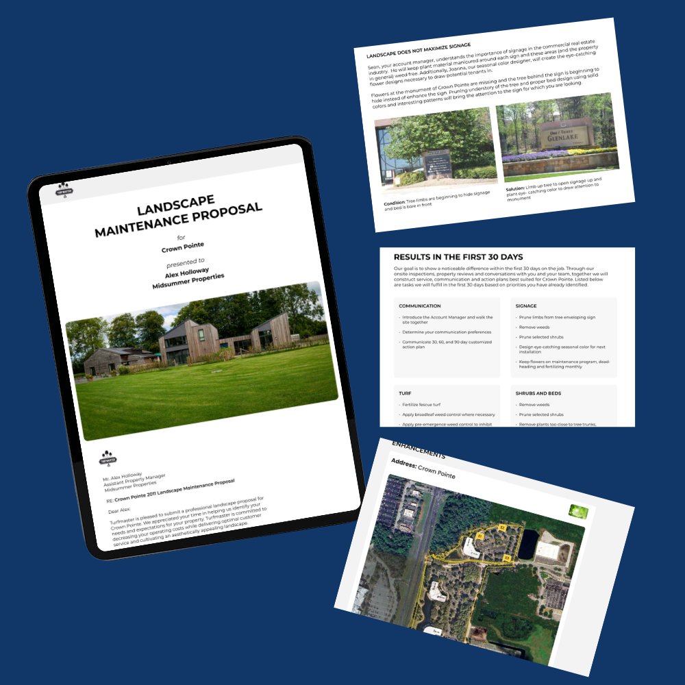 Complimentary White Paper Scaling from $1Mil to $50Mil+ in Landscape