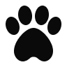 Pets Icon