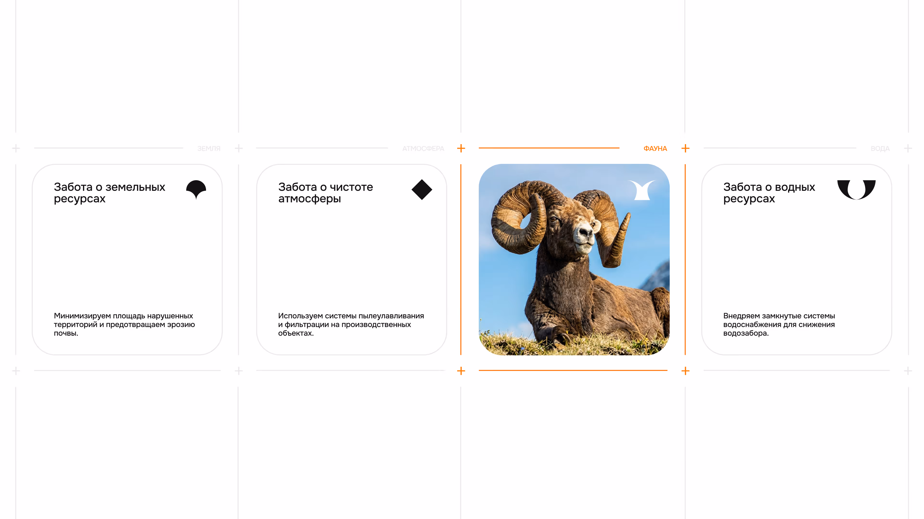 A bighorn sheep lying on grass with blue sky background, showing large curling horns.