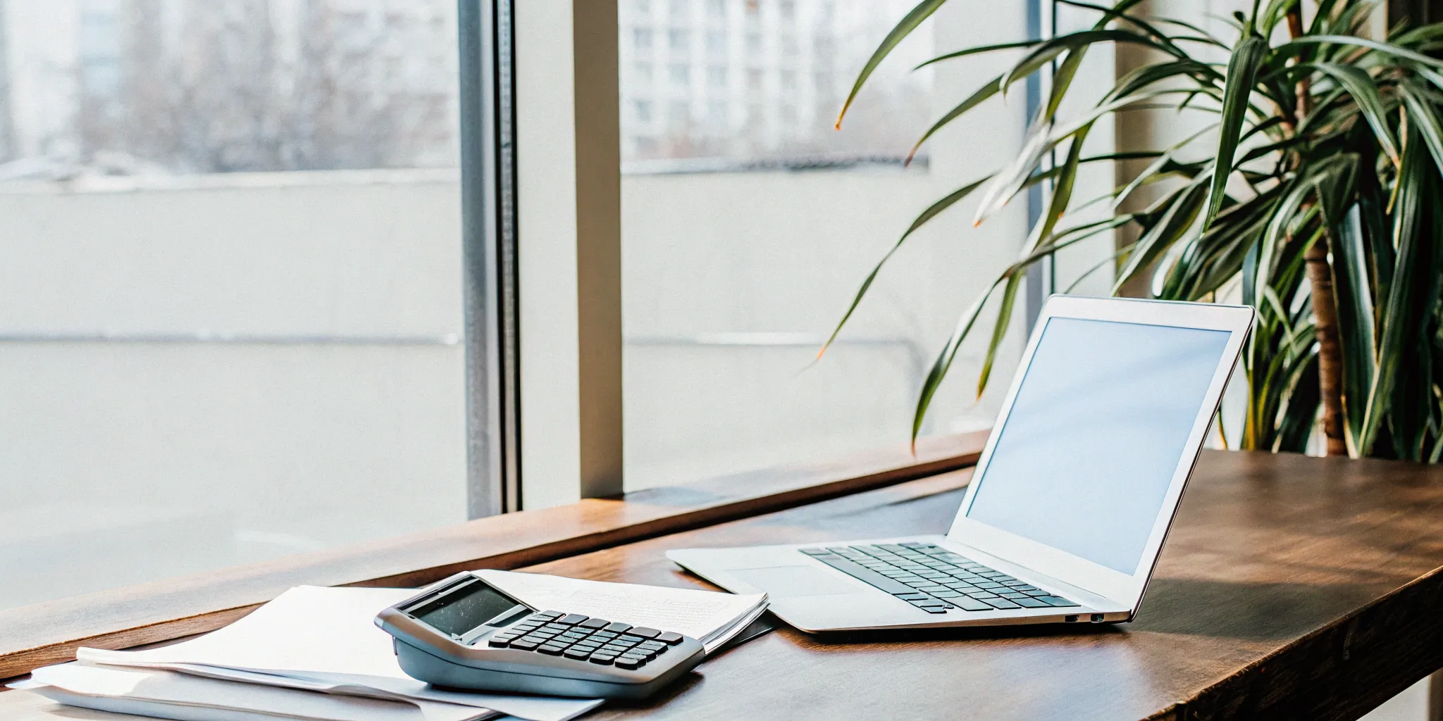 Cash basis accounting tools for revenue recognition.