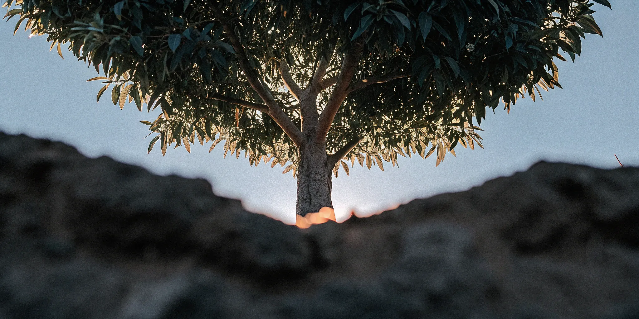 Mode Analytics Revenue: A Deep Dive for 2025