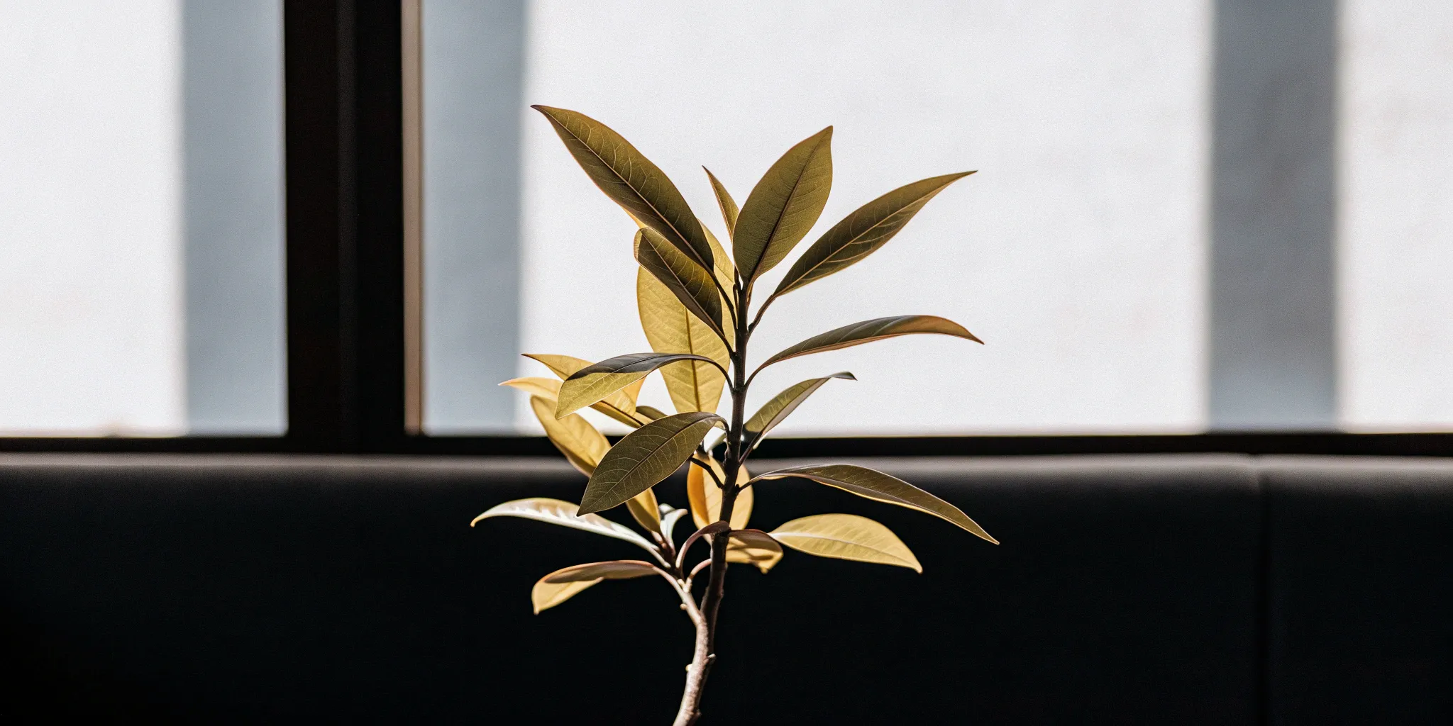 A thriving green plant, a visual example of steady annual recurring revenue growth.