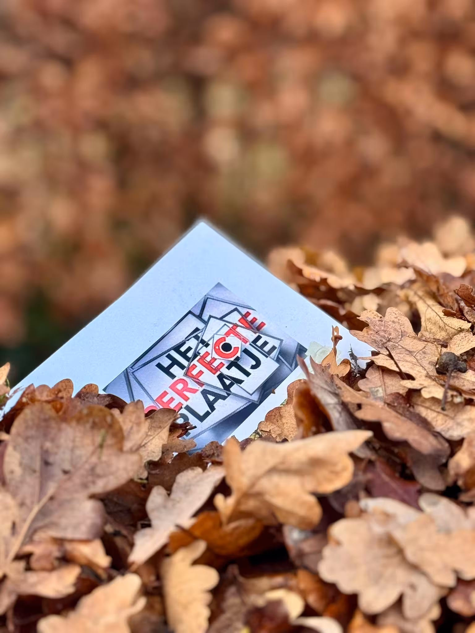 Het Perfecte Plaatje kaartje ligt tussen de bladeren