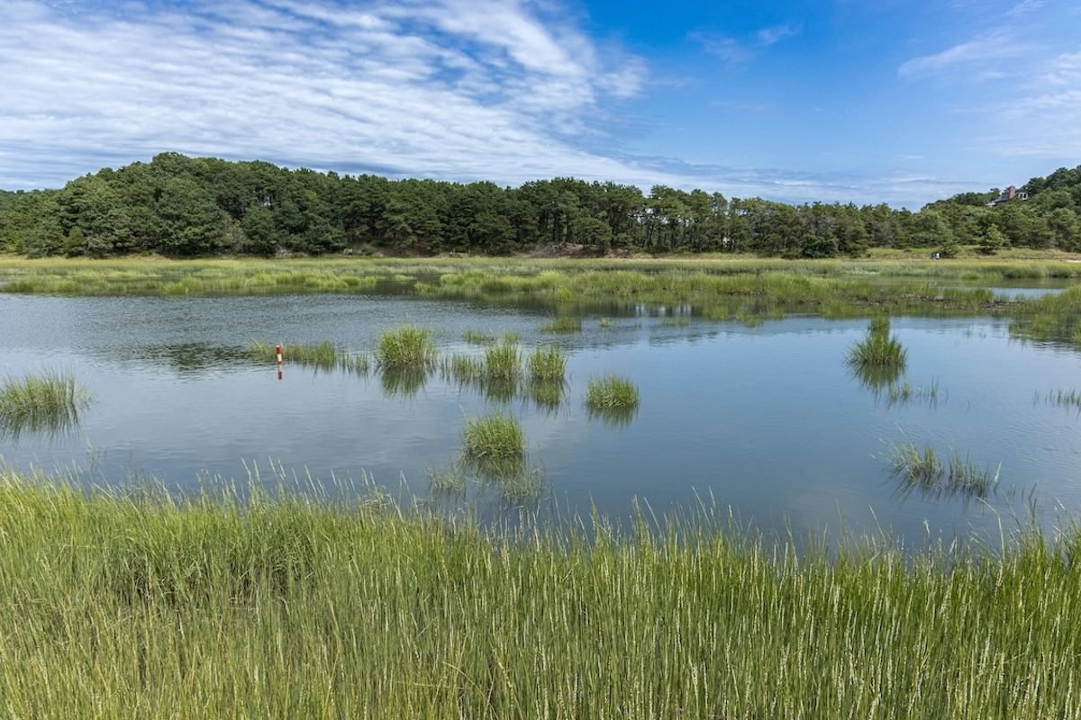 A lake in in Truro MA sit calm and quiet as a warm summer day carries on.