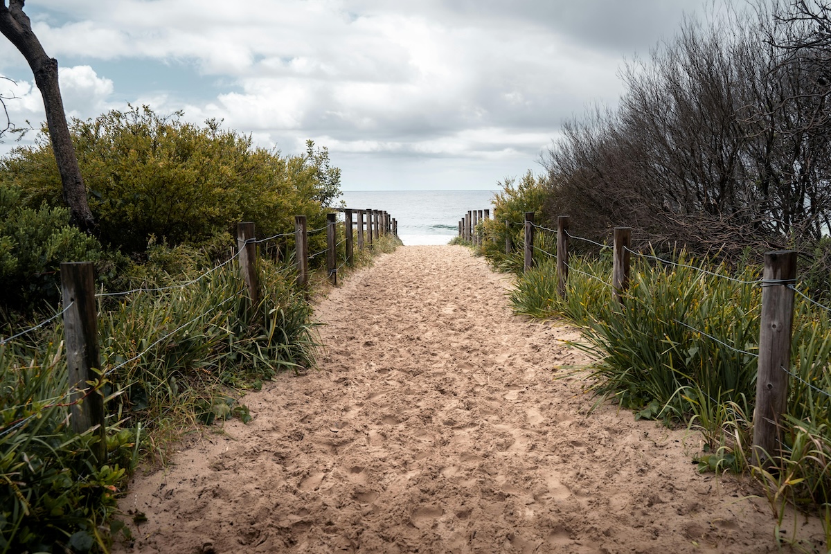 A sand path leads to the water at the end of a coastal hike on Cape Cod.