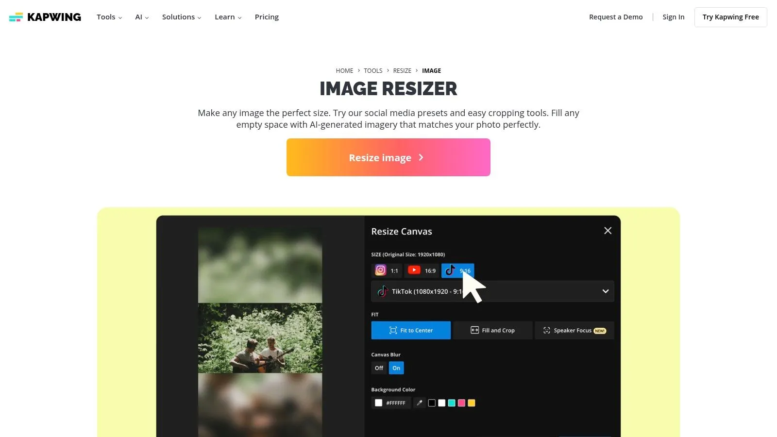 Kapwing (Image Resizer tool)