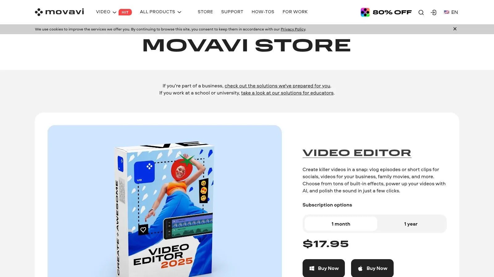 Movavi Video Converter