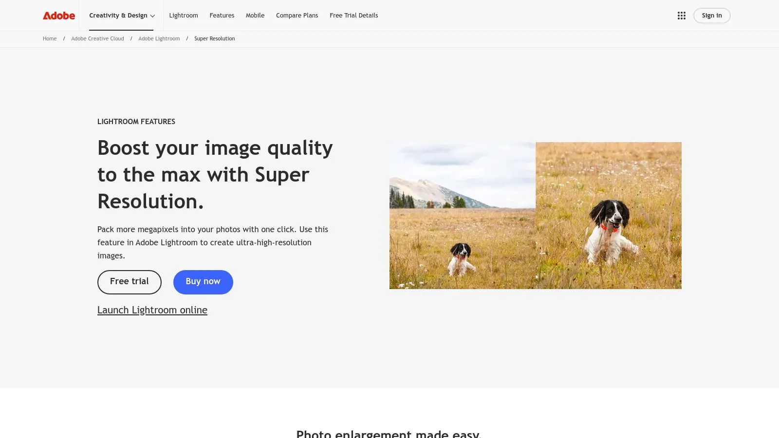 Adobe – Super Resolution (Lightroom/Photoshop)