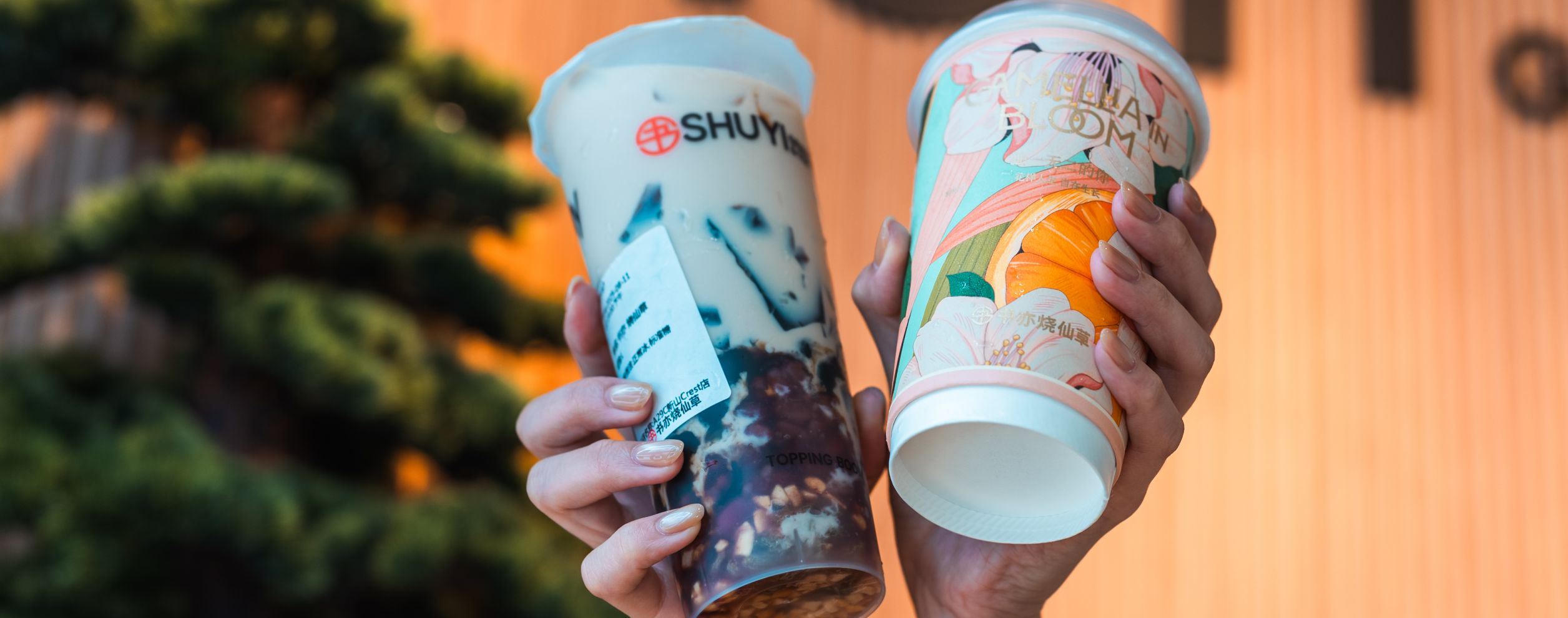 书亦烧仙草 Shuyi Grass Jelly Tea