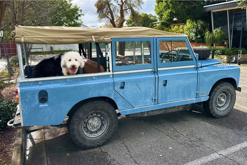 Jaunt — Electric Land Rover Series | 400V, Hand-Built in Australia