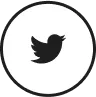 Twitter social media icon