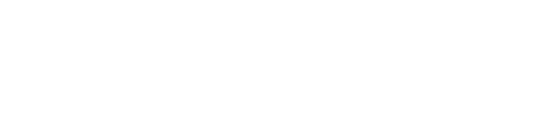 FERMAT logo