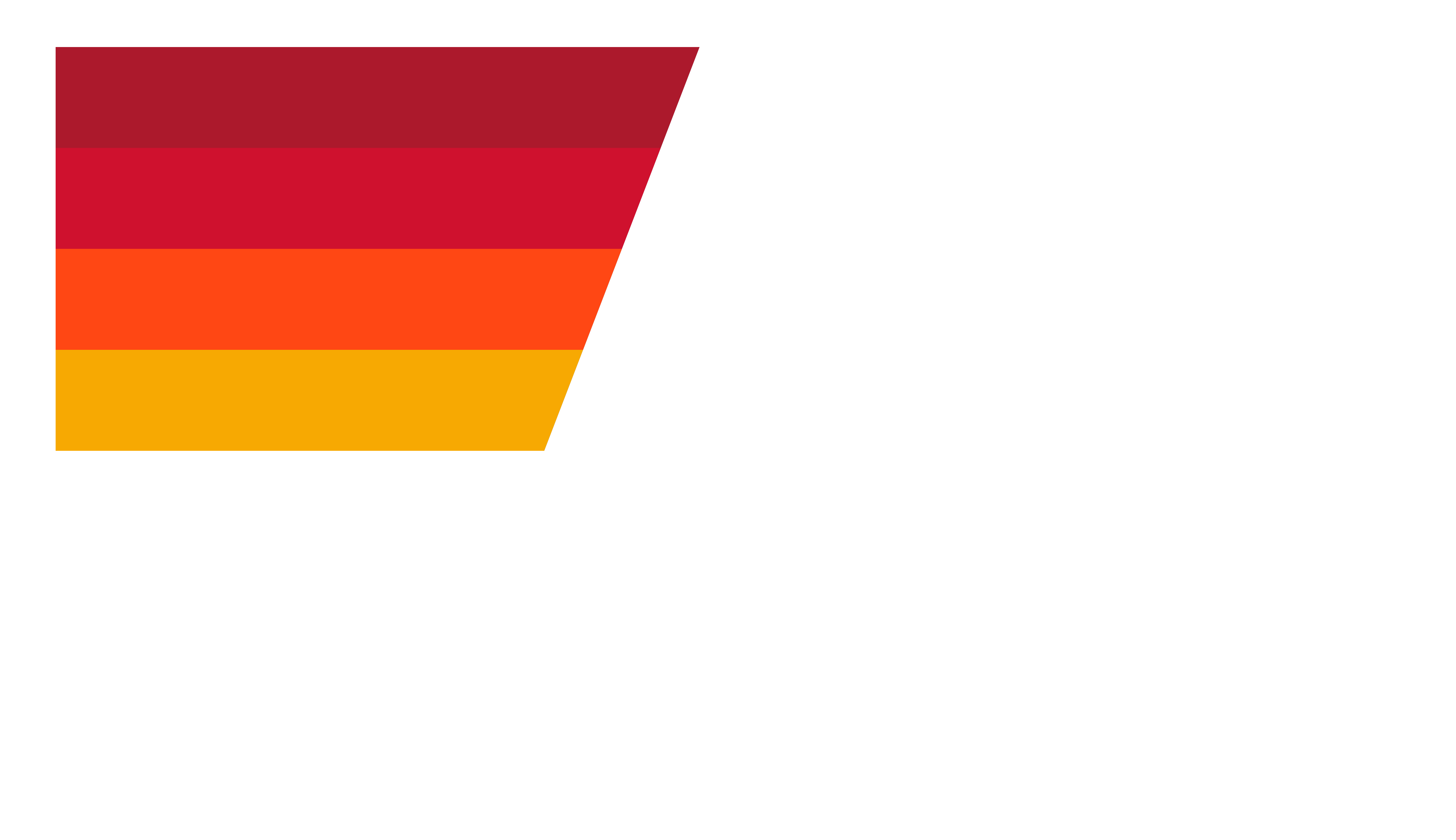Aviator Nation logo