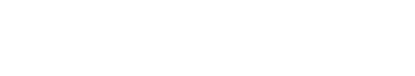 Dataships logo