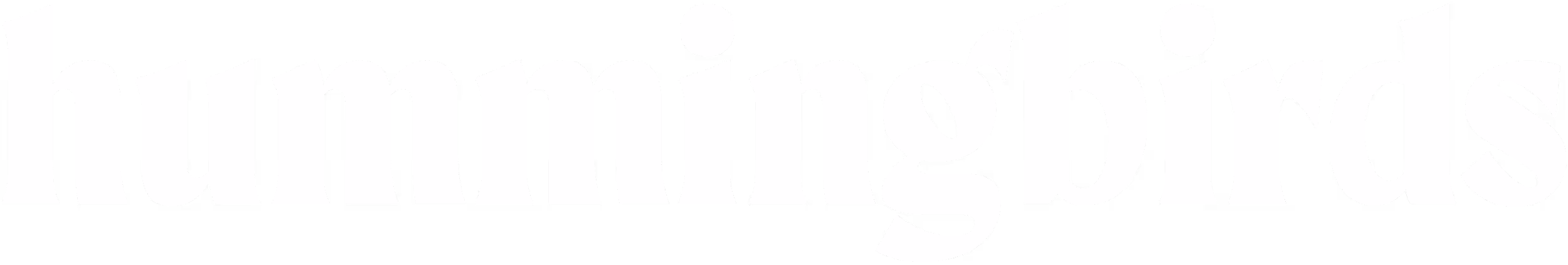 Hummingbirds logo
